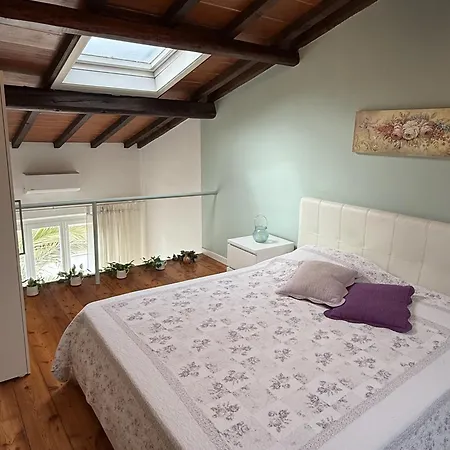 Panciroli Vista Mare * Marina di Pietrasanta